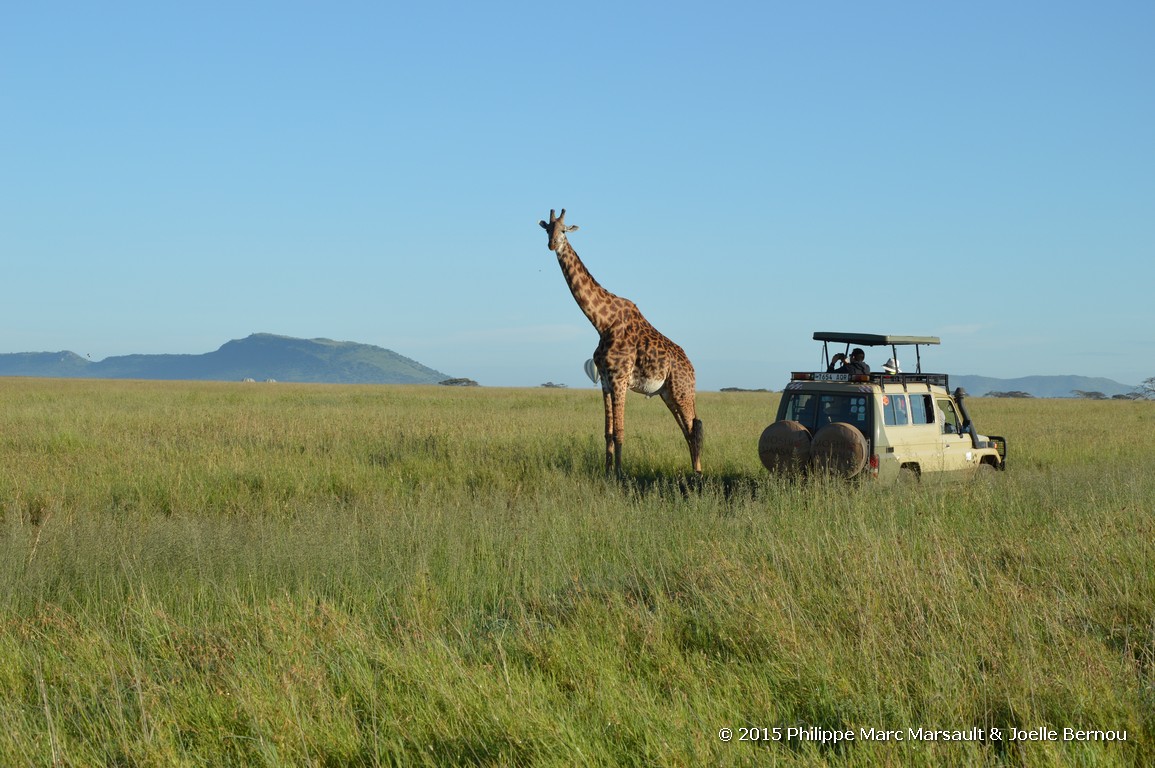 /ecran/Tanzanie_2015_1115.jpg