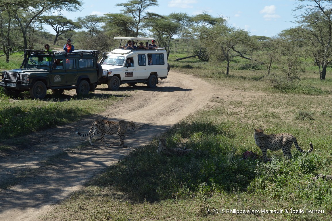 /ecran/Tanzanie_2015_1189.jpg