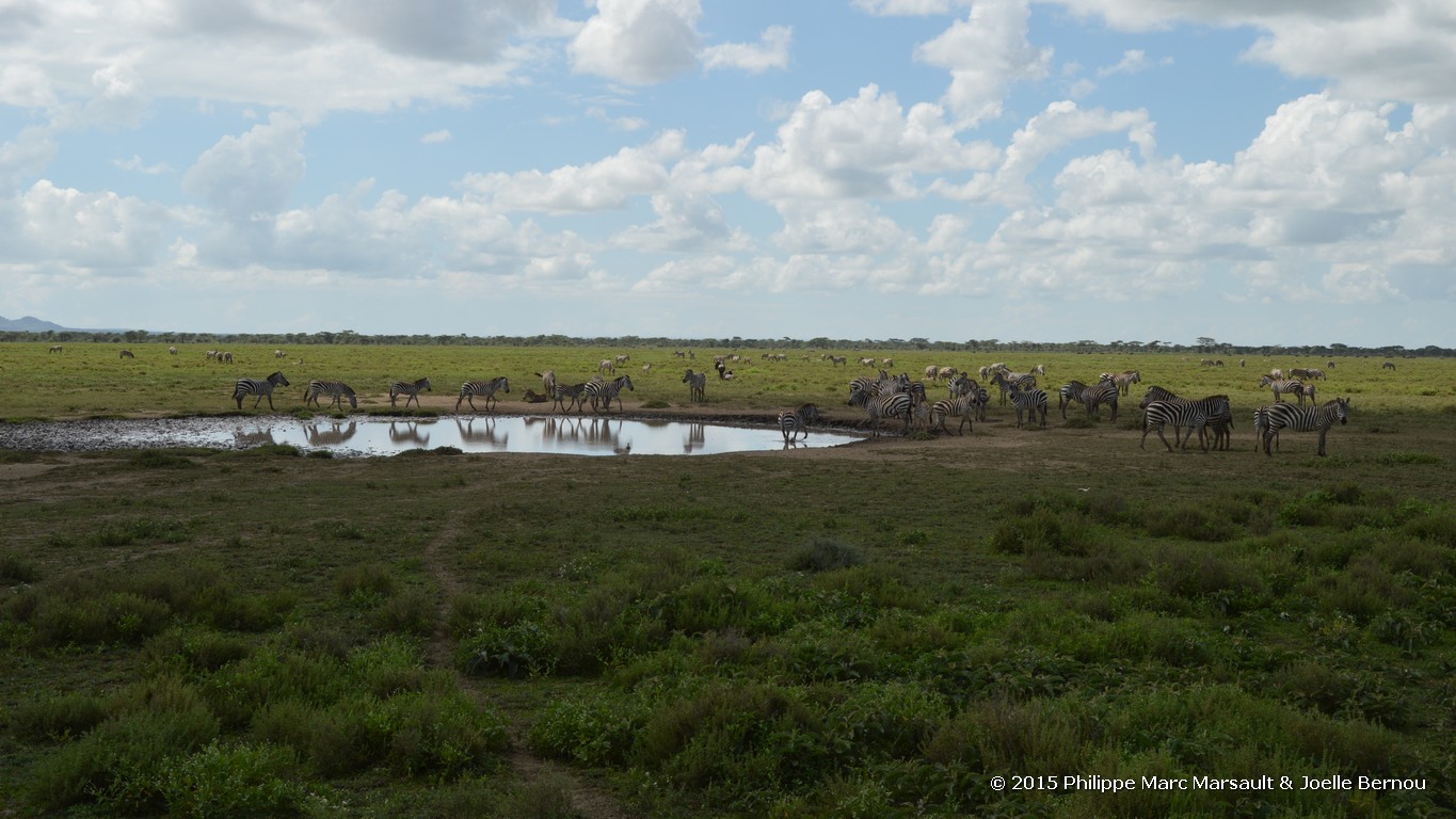 /ecran/Tanzanie_2015_1224.jpg