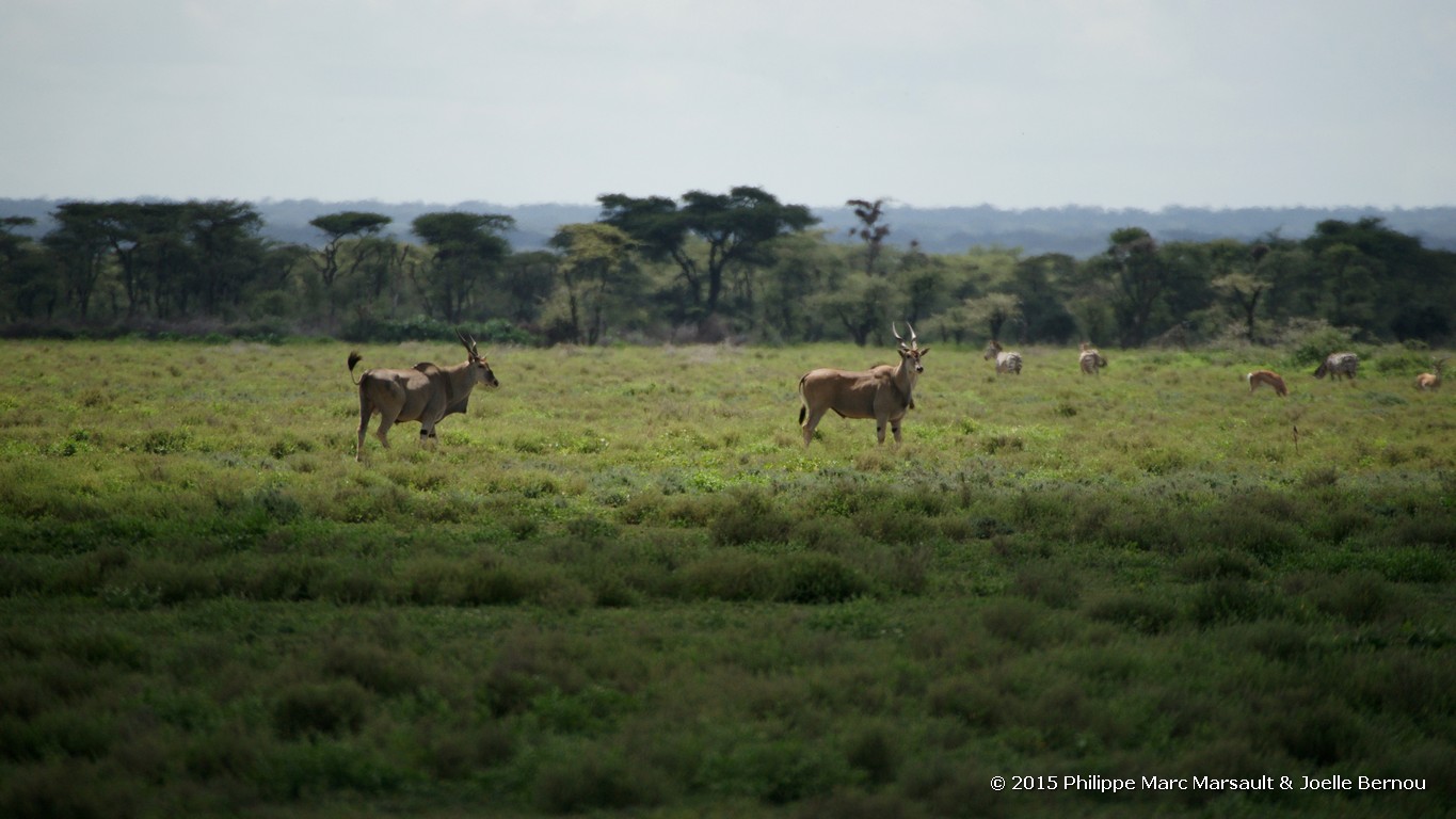 /ecran/Tanzanie_2015_1228.jpg