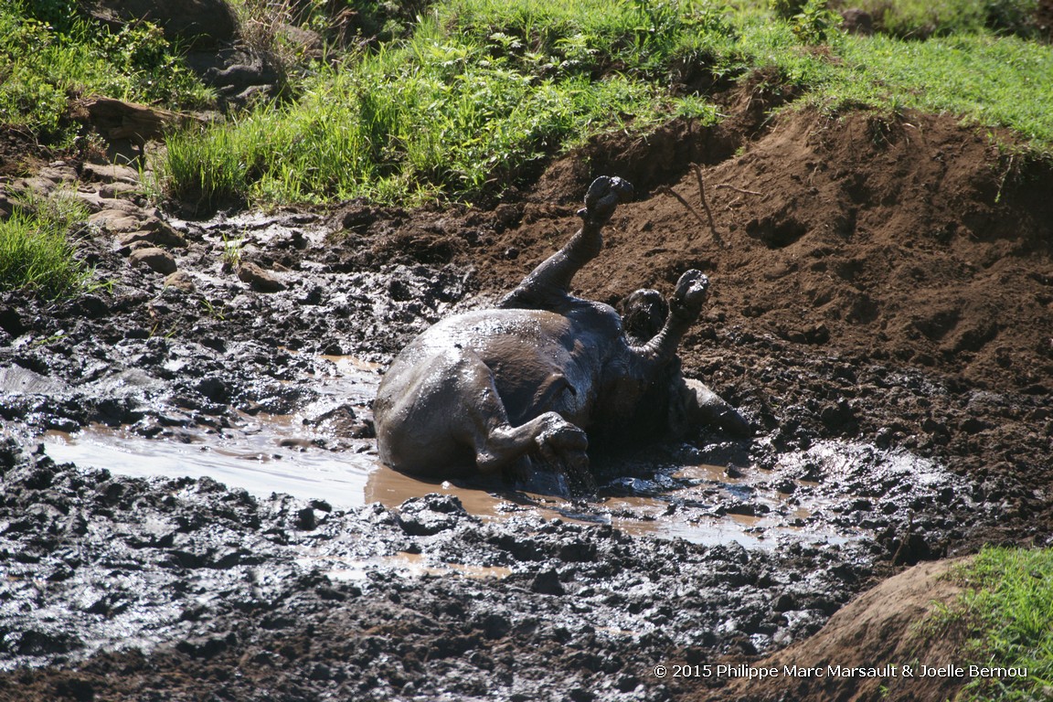 /ecran/Tanzanie_2015_1272.jpg