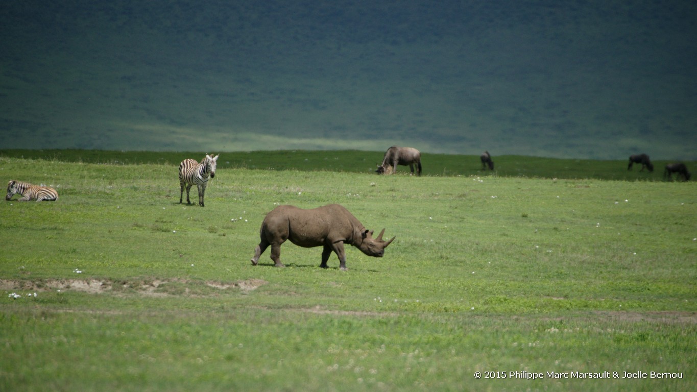 /ecran/Tanzanie_2015_1294.jpg