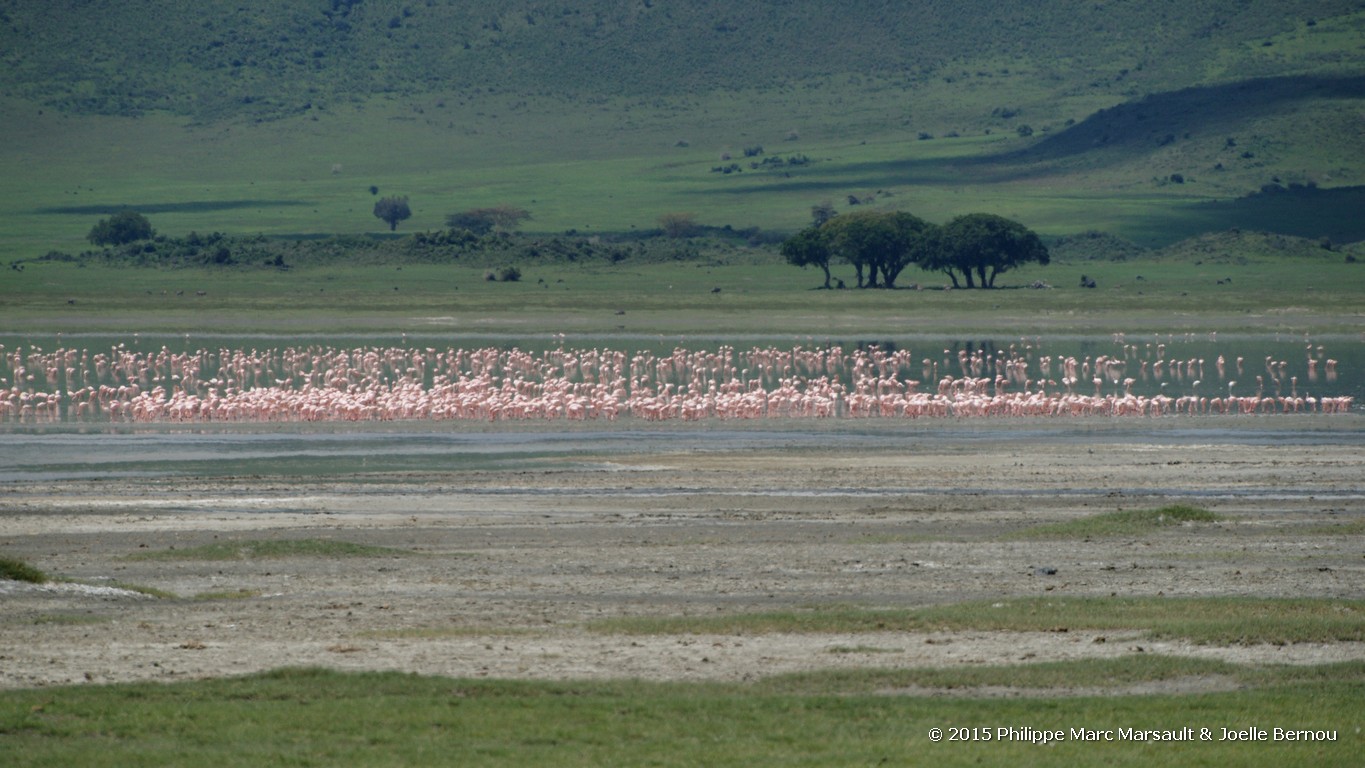 /ecran/Tanzanie_2015_1312.jpg