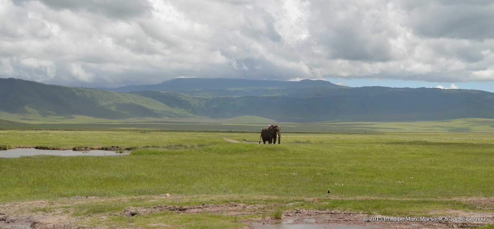 /ecran/Tanzanie_2015_1317.jpg