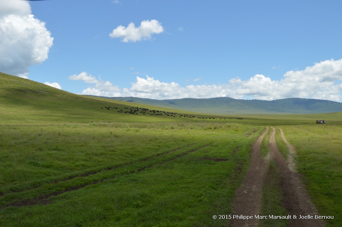 /ecran/Tanzanie_2015_1325.jpg