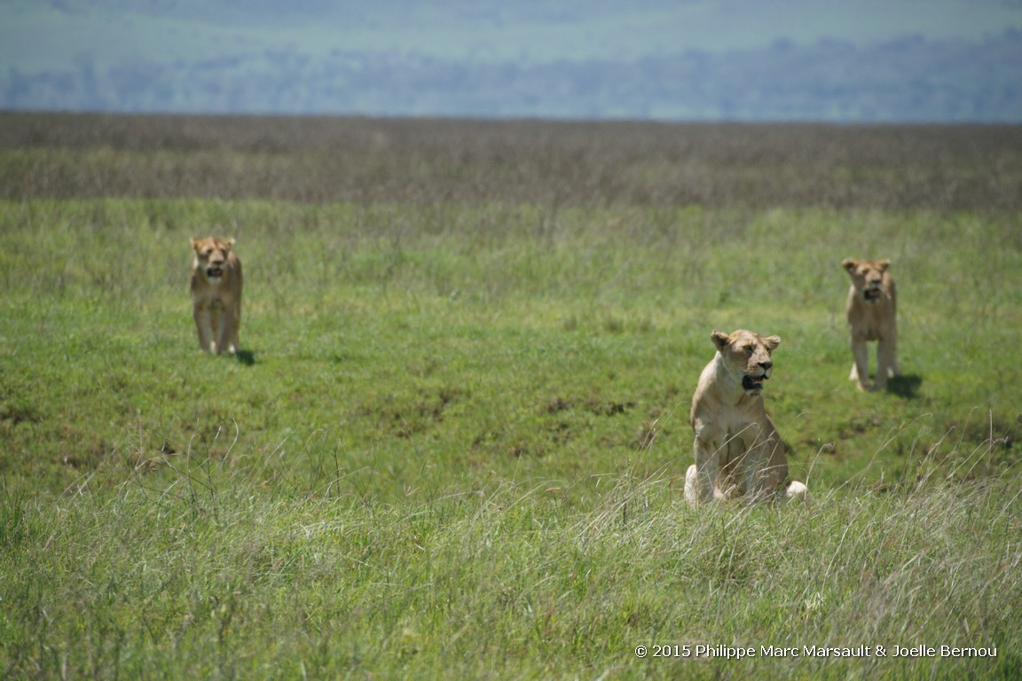 /ecran/Tanzanie_2015_1336.jpg