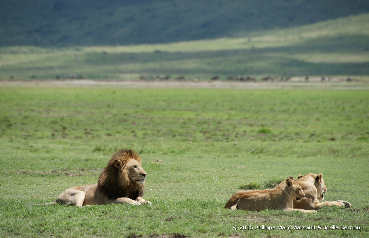 /ecran/Tanzanie_2015_1355.jpg