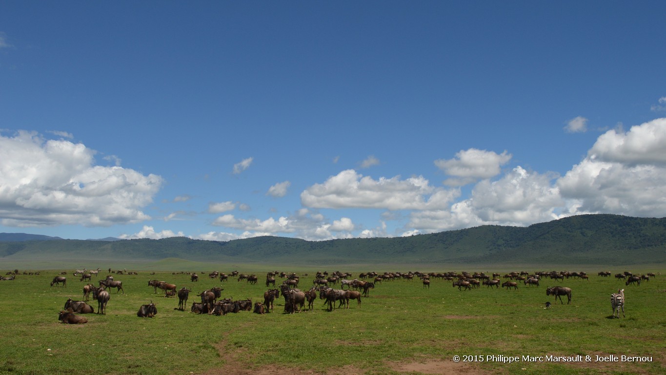 /ecran/Tanzanie_2015_1365.jpg