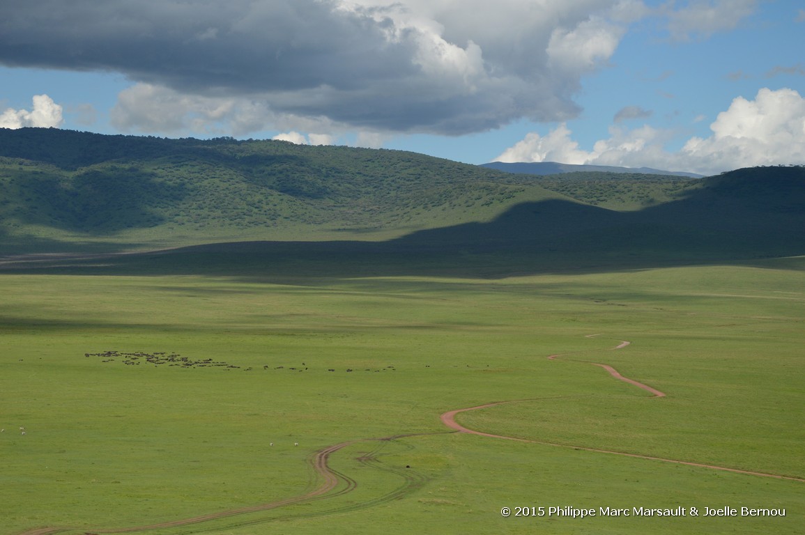 /ecran/Tanzanie_2015_1379.jpg