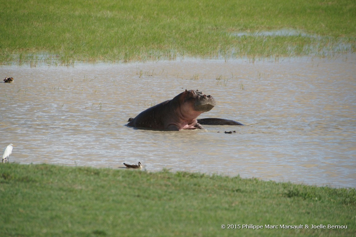 /ecran/Tanzanie_2015_1380.jpg