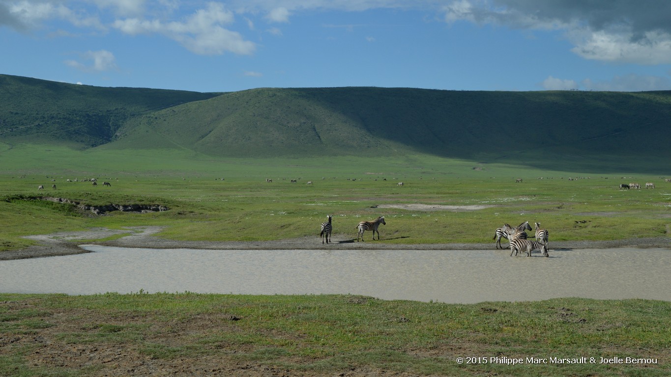 /ecran/Tanzanie_2015_1388.jpg