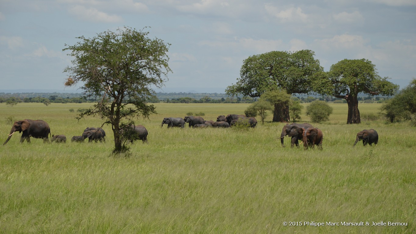 /ecran/Tanzanie_2015_1414.jpg