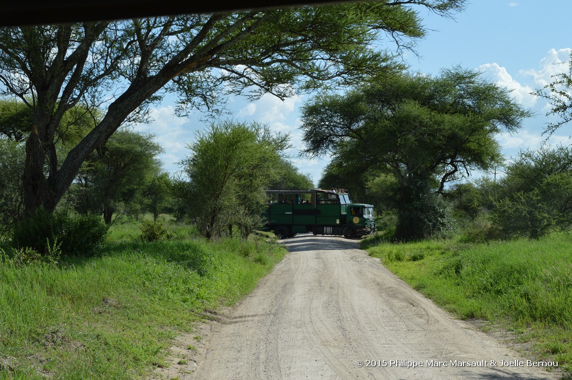 /ecran/Tanzanie_2015_1454.jpg