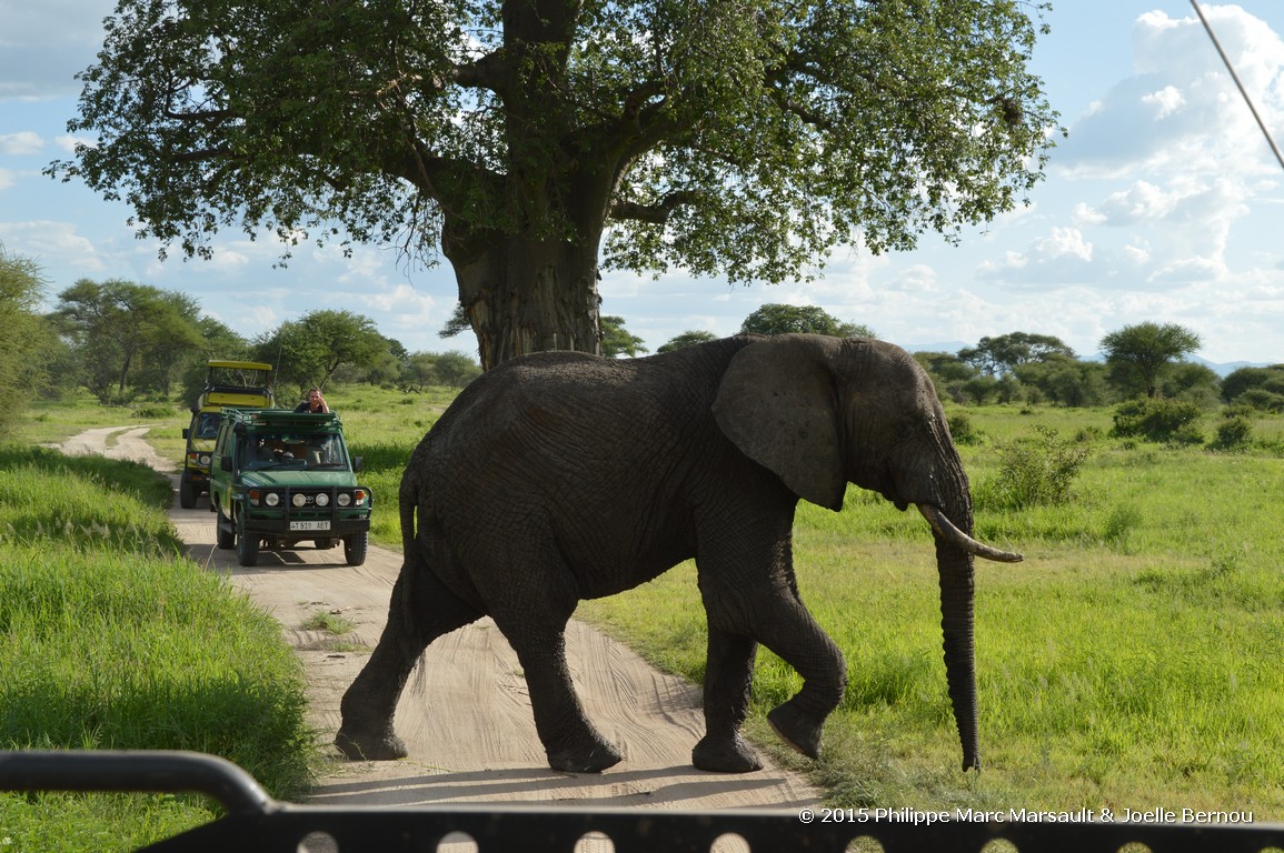 /ecran/Tanzanie_2015_1459.jpg