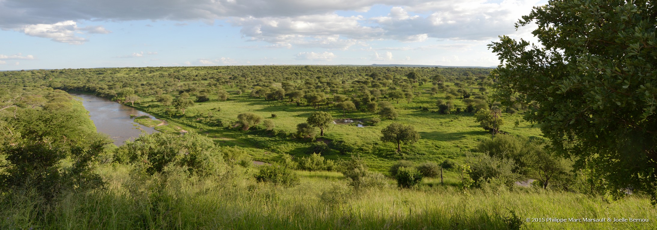 /ecran/Tanzanie_2015_1480.jpg