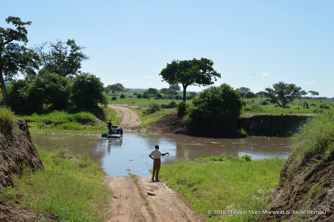 /ecran/Tanzanie_2015_1514.jpg