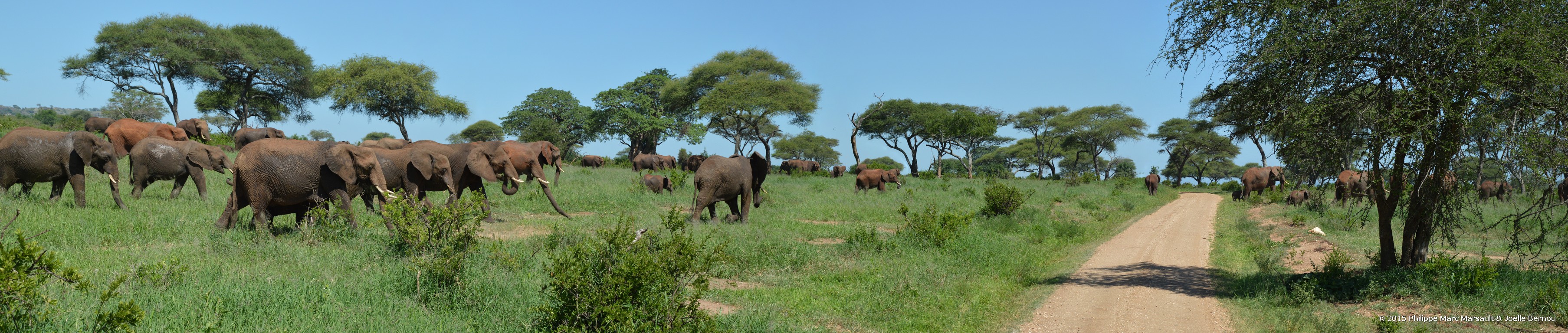 /ecran/Tanzanie_2015_1537.jpg