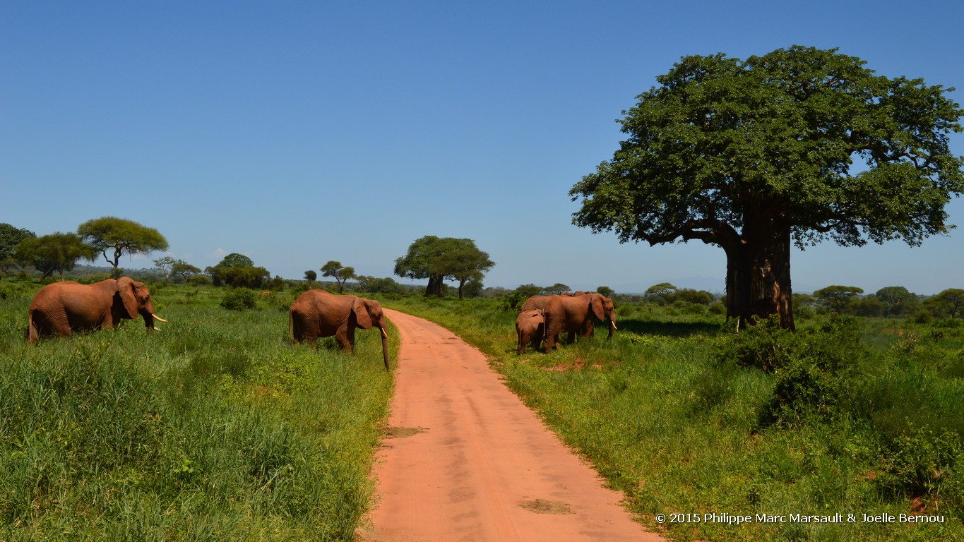 /ecran/Tanzanie_2015_1561.jpg