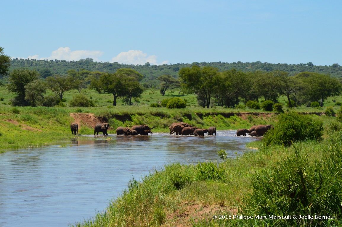 /ecran/Tanzanie_2015_1593.jpg