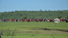 vignette Tanzanie_2015_0023.jpg 