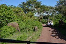 vignette Tanzanie_2015_0088.jpg 