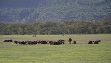 vignette Tanzanie_2015_0105.jpg 