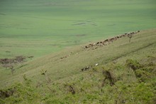 vignette Tanzanie_2015_0202.jpg 