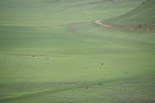 vignette Tanzanie_2015_0217.jpg 