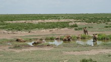 vignette Tanzanie_2015_0268.jpg 