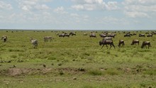 vignette Tanzanie_2015_0302.jpg 