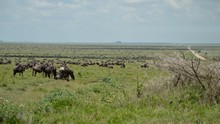 vignette Tanzanie_2015_0325.jpg 