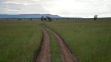 vignette Tanzanie_2015_0372.jpg 