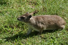 vignette Tanzanie_2015_0552.jpg 