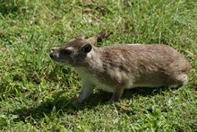 vignette Tanzanie_2015_0552.jpg 