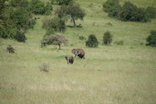 vignette Tanzanie_2015_0712.jpg 