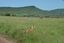 vignette Tanzanie_2015_0737.jpg 