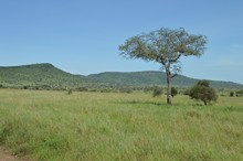 vignette Tanzanie_2015_0739.jpg 