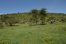 vignette Tanzanie_2015_0744.jpg 