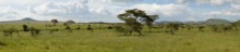 vignette Tanzanie_2015_0829.jpg 