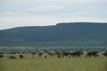 vignette Tanzanie_2015_0848.jpg 