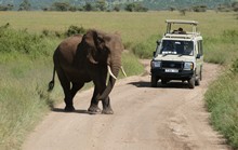 vignette Tanzanie_2015_0899.jpg 