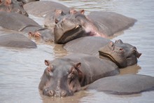 vignette Tanzanie_2015_0995.jpg 