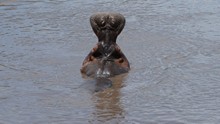 vignette Tanzanie_2015_1011.jpg 