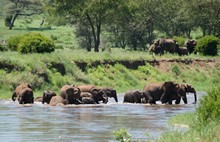 vignette Tanzanie_2015_1590.jpg 