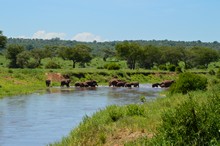 vignette Tanzanie_2015_1593.jpg 