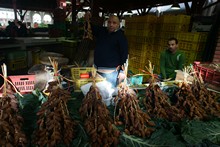 vignette Tunisie_0077.jpg 