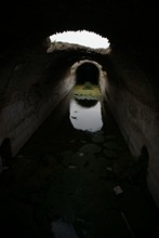 vignette Tunisie_0208.jpg 