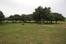 vignette Tunisie_0278.jpg 