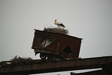 vignette Tunisie_0294.jpg 