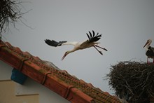 vignette Tunisie_0298.jpg 